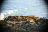 Enlarge photo 348