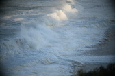 Enlarge photo 350