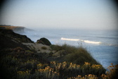 Enlarge photo 351