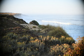 Enlarge photo 352