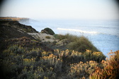 Enlarge photo 353
