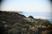 Enlarge photo 354