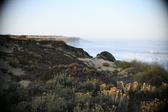 Enlarge photo 355
