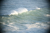 Enlarge photo 358