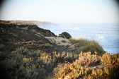 Enlarge photo 371