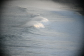 Enlarge photo 375