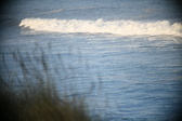 Enlarge photo 379