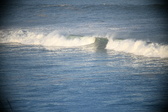 Enlarge photo 380