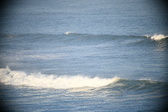 Enlarge photo 381