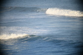 Enlarge photo 384