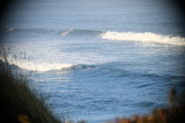 Enlarge photo 385