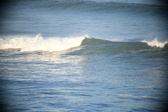 Enlarge photo 387
