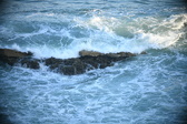 Enlarge photo 389