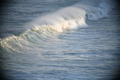 Enlarge photo 394