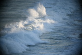 Enlarge photo 397