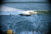 Enlarge photo 398