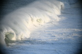Enlarge photo 420
