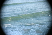 Enlarge photo 425