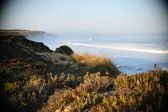 Enlarge photo 428
