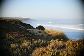 Enlarge photo 429