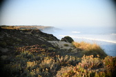 Enlarge photo 430