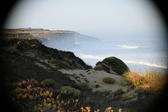 Enlarge photo 431