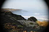 Enlarge photo 432