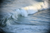Enlarge photo 204