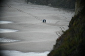 Enlarge photo 208