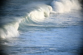 Enlarge photo 219