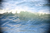 Enlarge photo 442