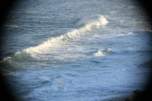 Enlarge photo 443