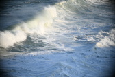 Enlarge photo 444