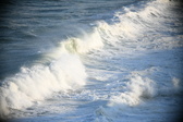 Enlarge photo 445