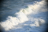 Enlarge photo 446