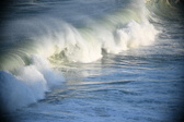 Enlarge photo 449