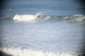 Enlarge photo 451
