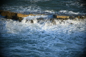 Enlarge photo 460