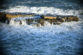 Enlarge photo 461