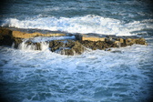 Enlarge photo 462