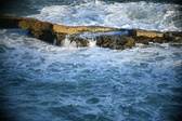 Enlarge photo 463