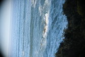 Enlarge photo 465