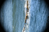 Enlarge photo 466