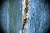 Enlarge photo 467