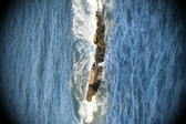 Enlarge photo 469