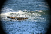 Enlarge photo 475