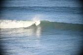 Enlarge photo 480
