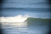 Enlarge photo 481