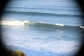 Enlarge photo 482