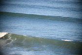 Enlarge photo 484